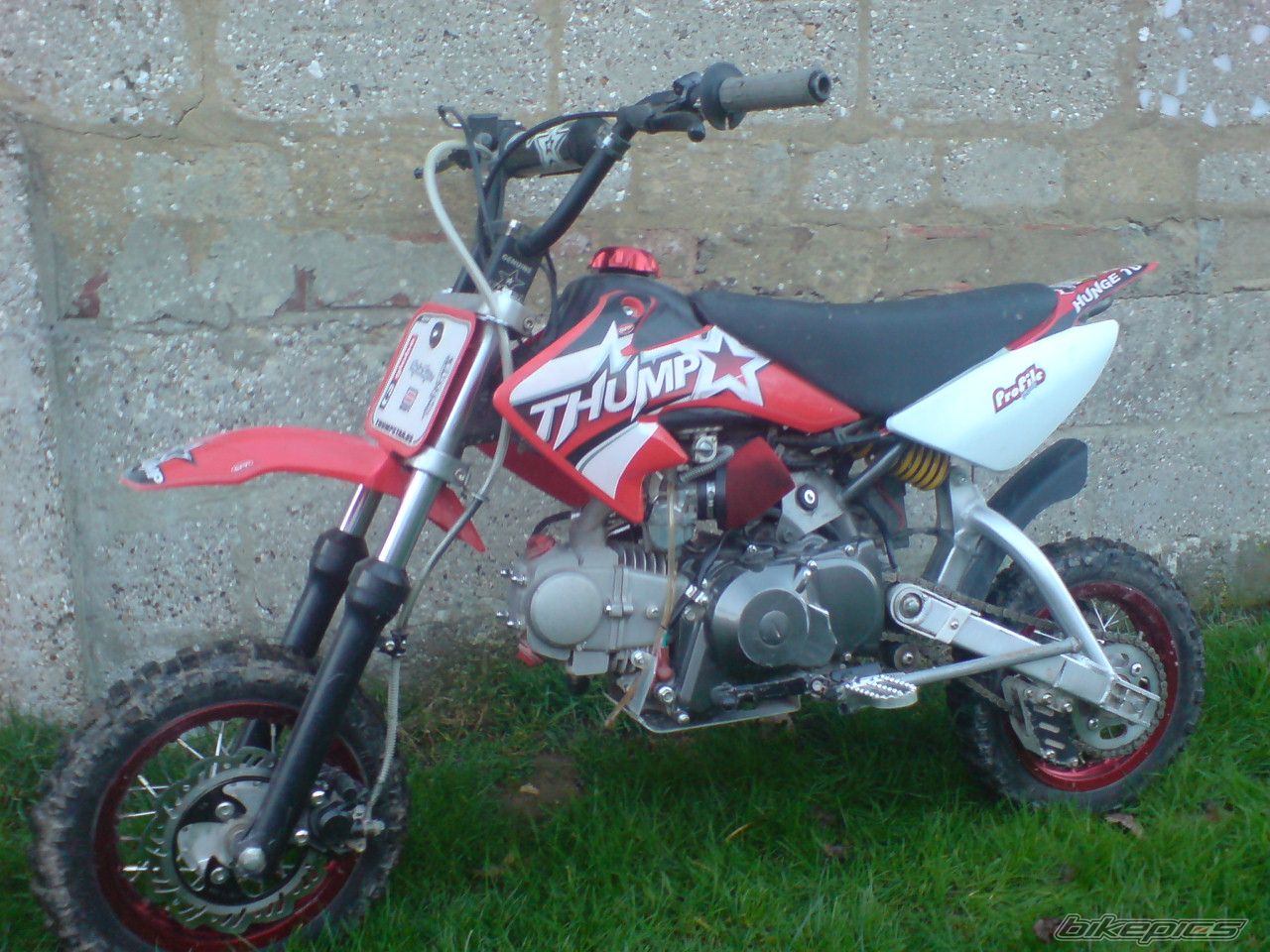 Photo 778873