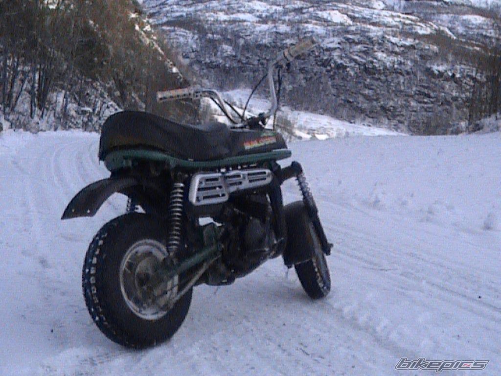 Photo 779927