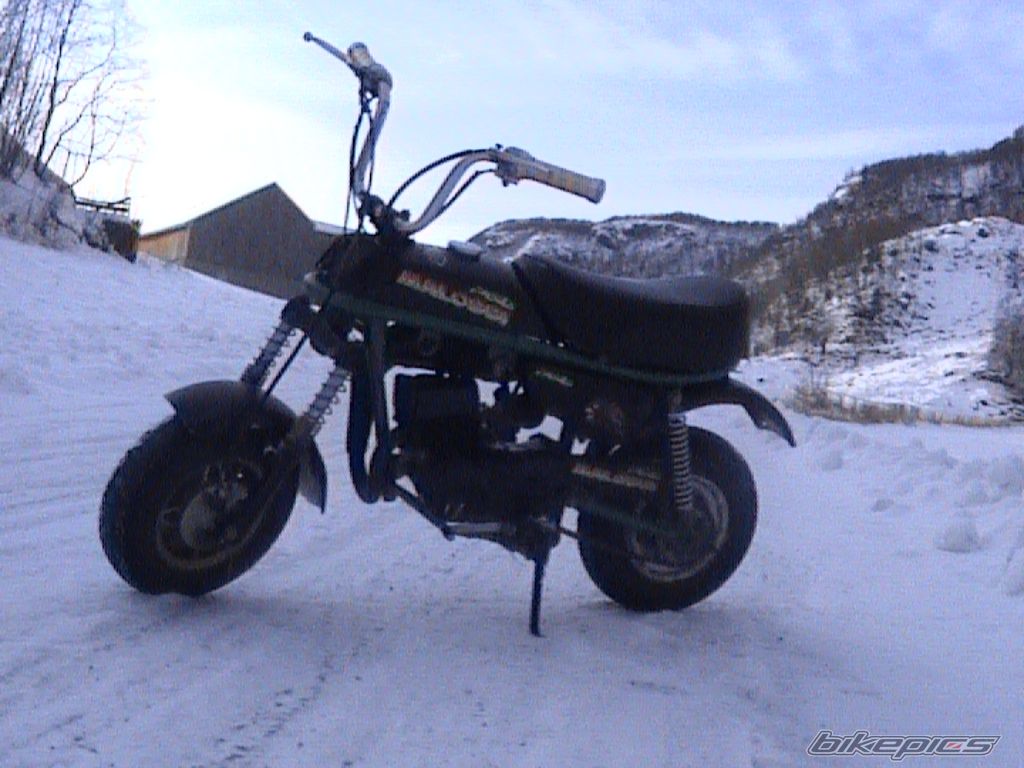 Photo 779942