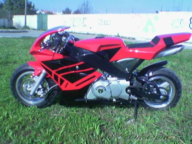 Photo 783310