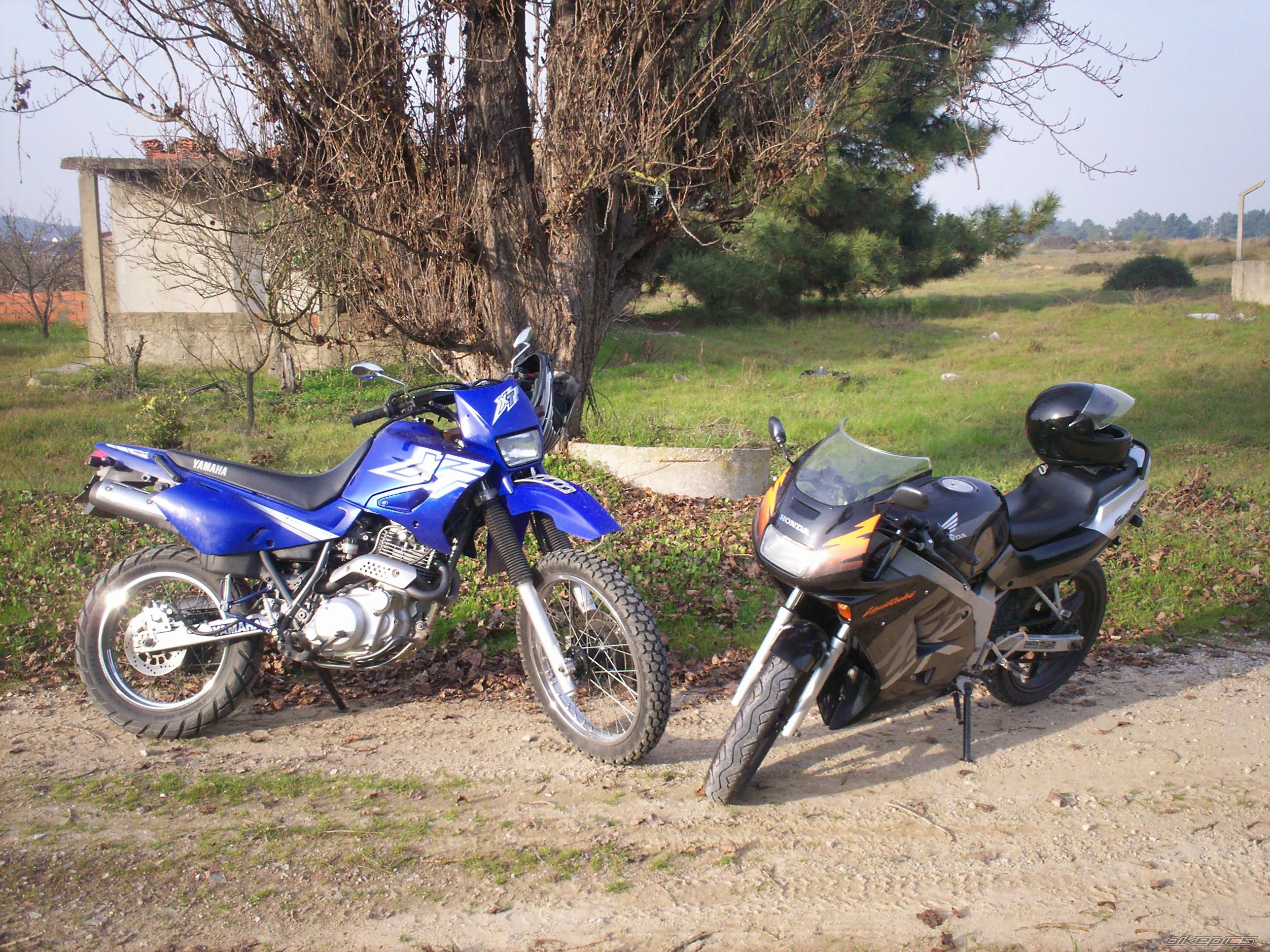 Photo 784938