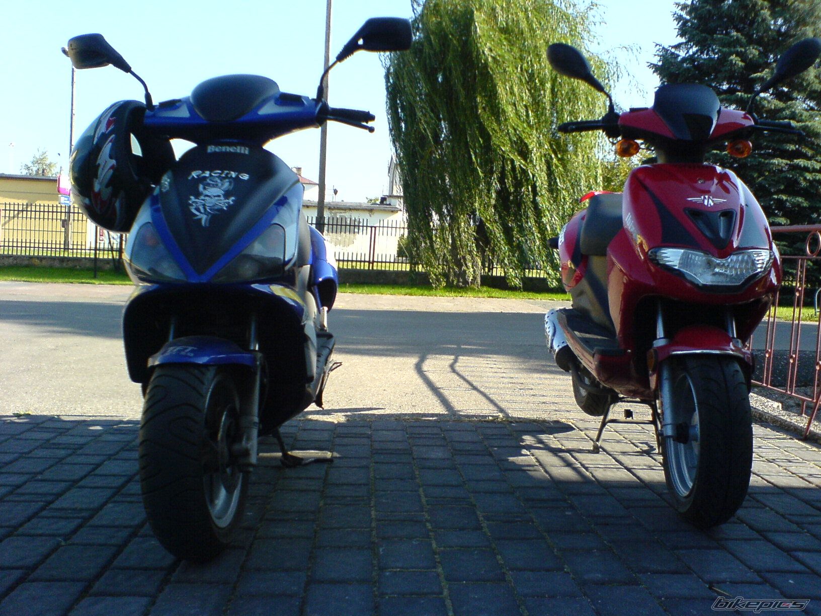 Photo 792468