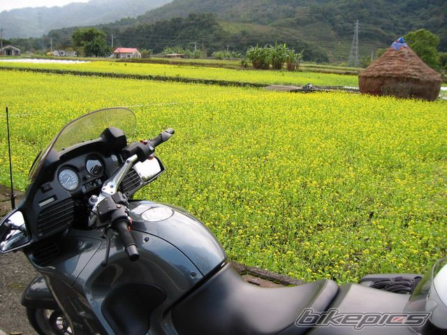 Photo 798068