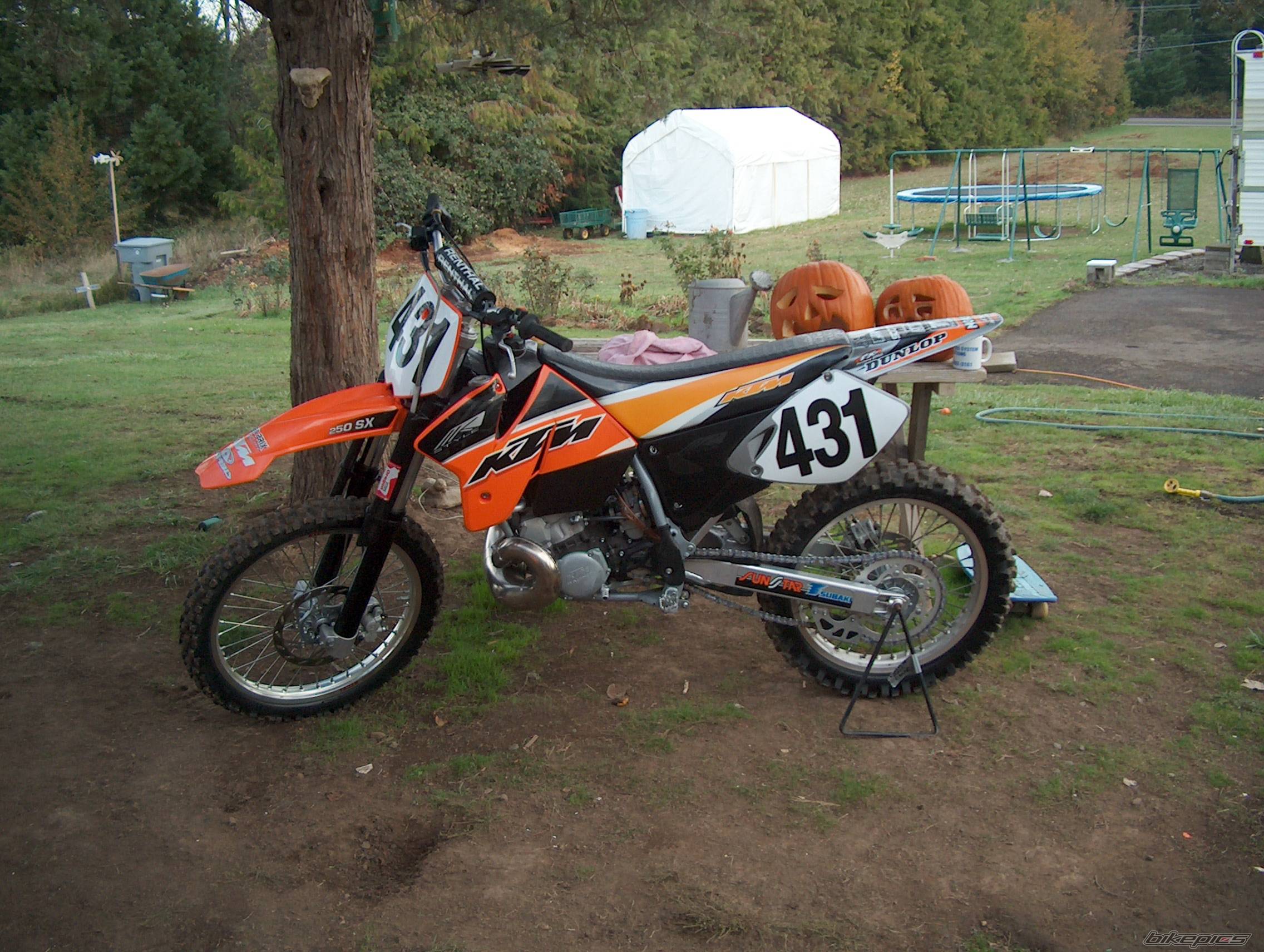 Photo 79846
