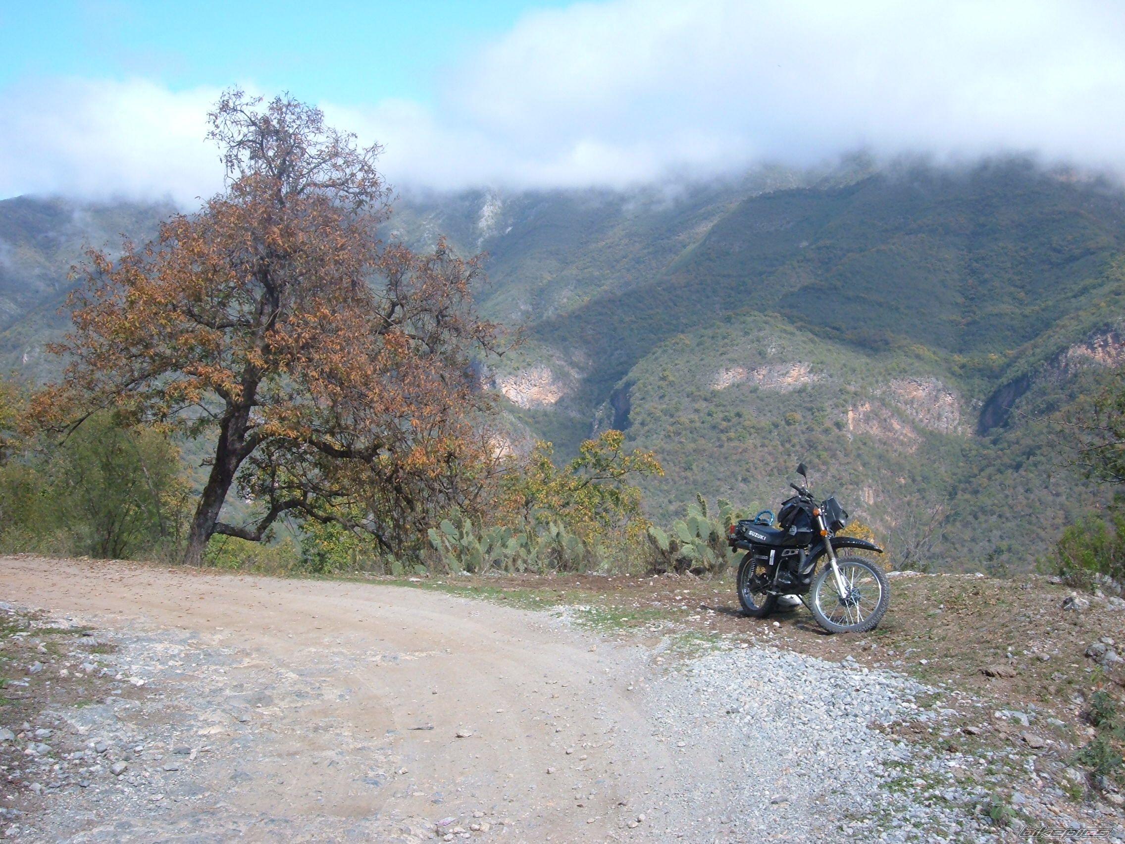 Bike Photo 799392