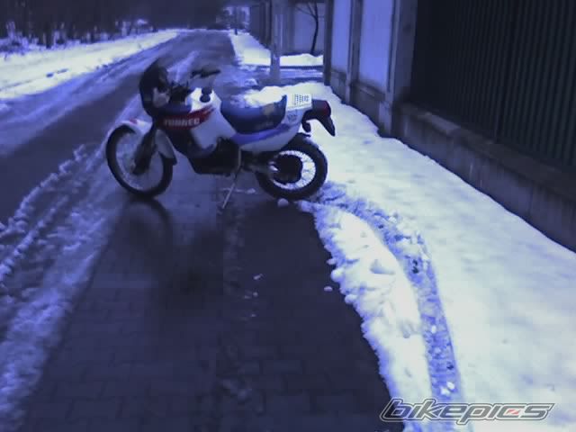 Photo 812819