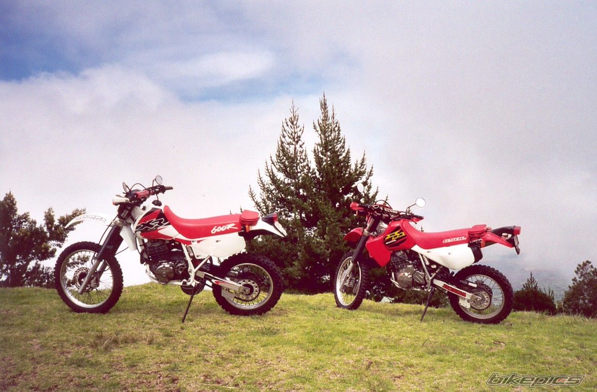 Bike Photo 817326