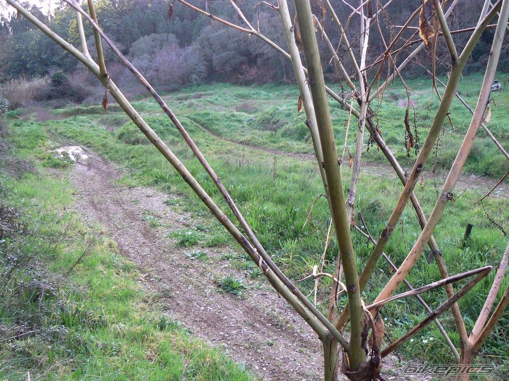 Photo 817639