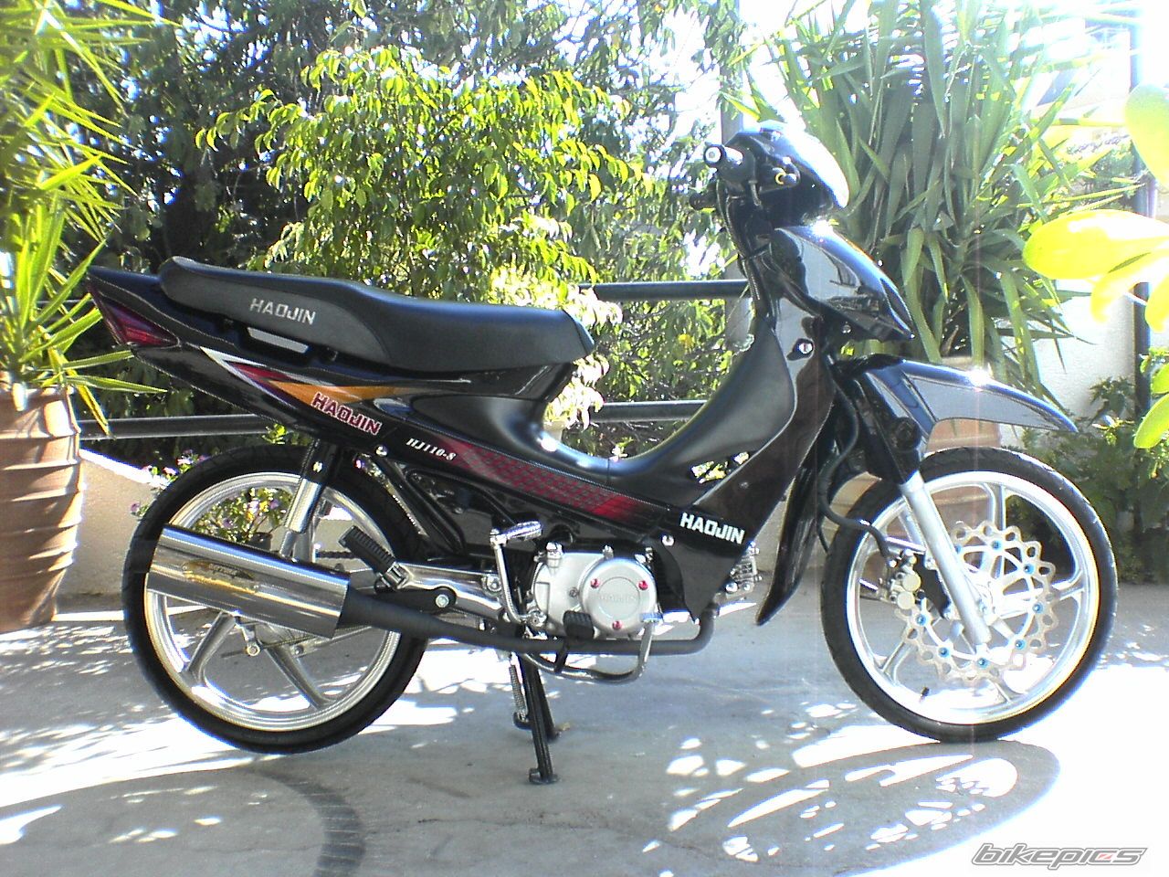 Photo 842478
