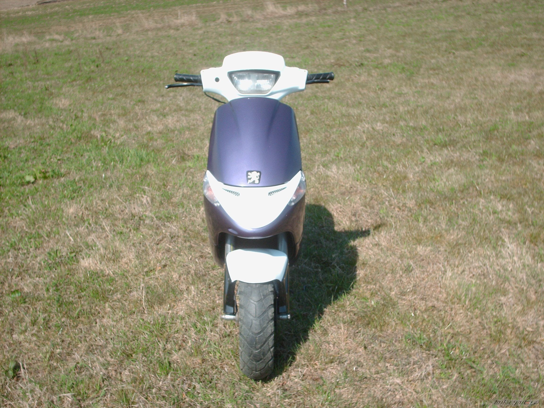 Photo 857748