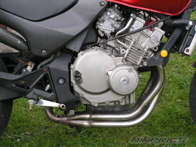 Photo 860002