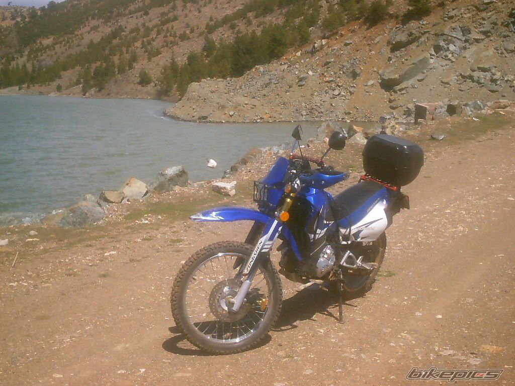 Photo 870153