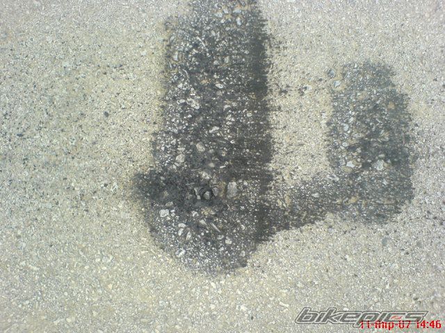 Bike Photo 875271