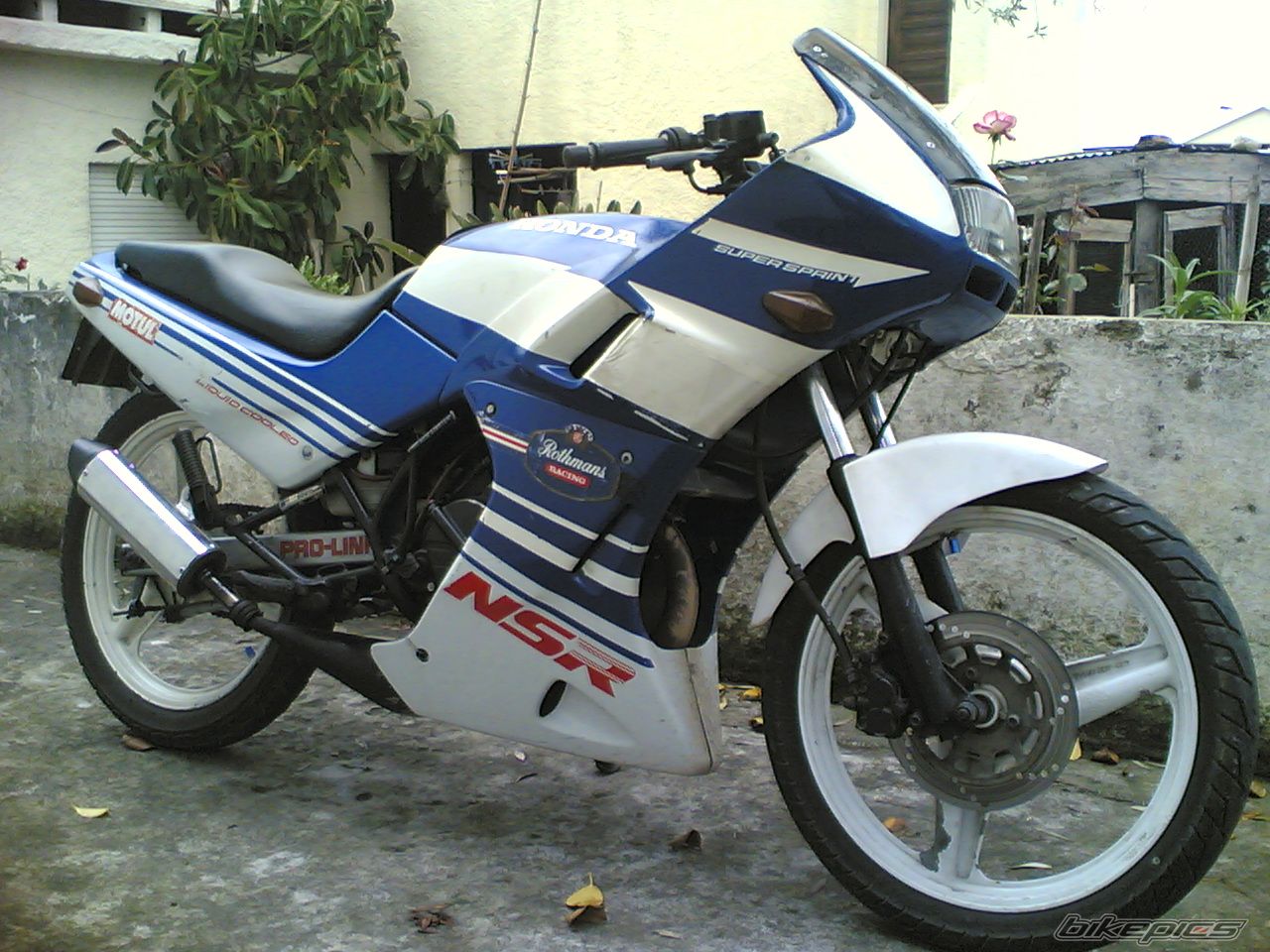 Photo 877721