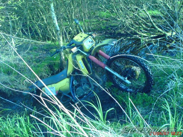 Photo 890298