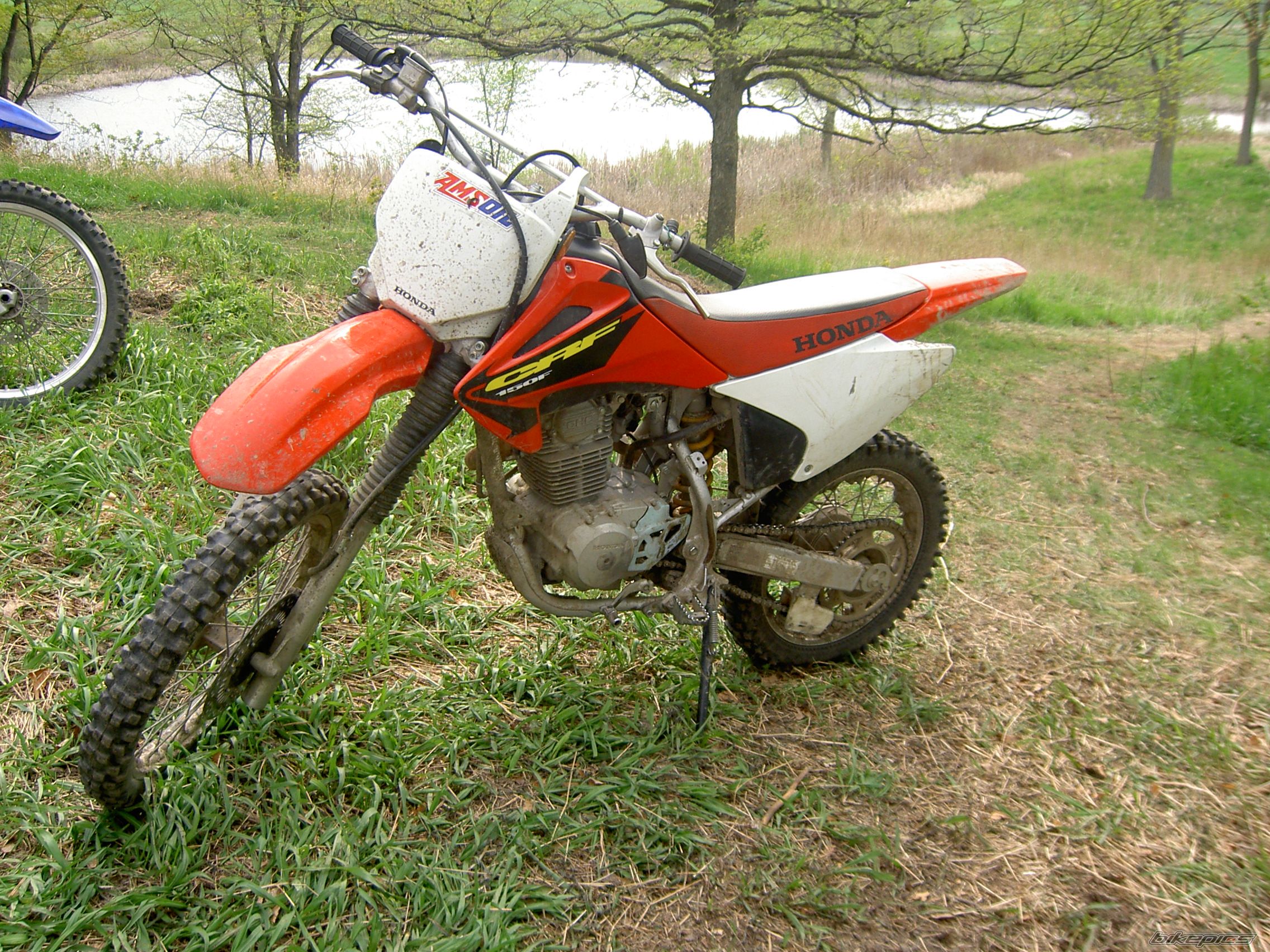 Photo 900569