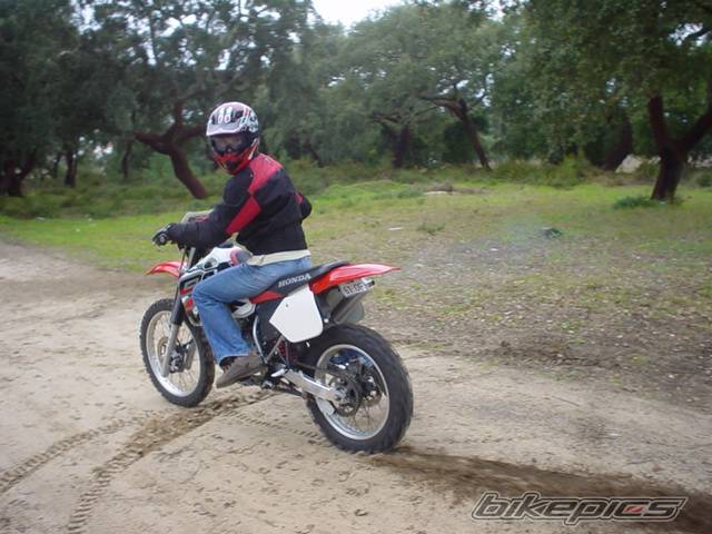 Photo 90092