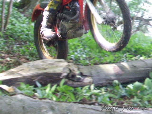 Photo 903873