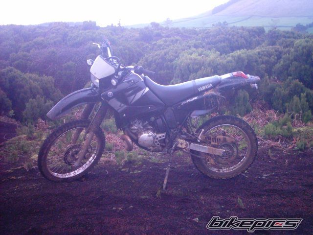 Photo 906089