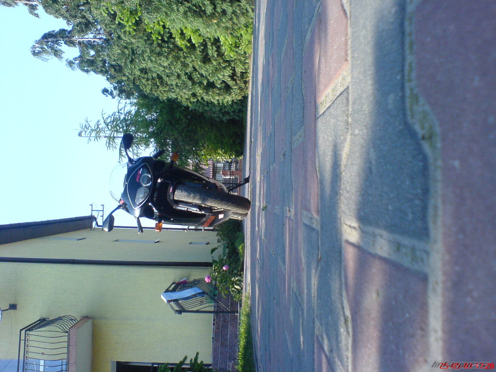Photo 910262