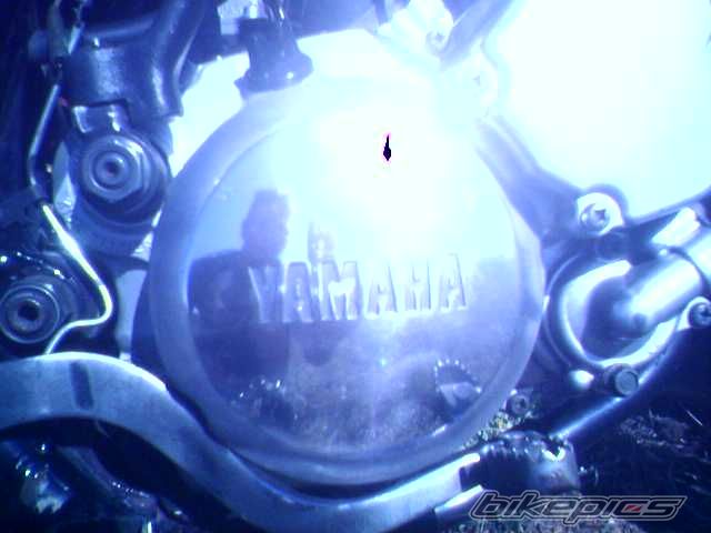 Photo 910426