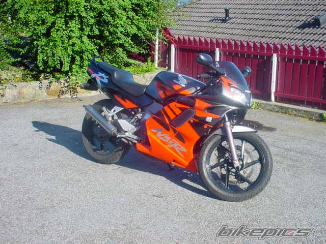 Photo 91909