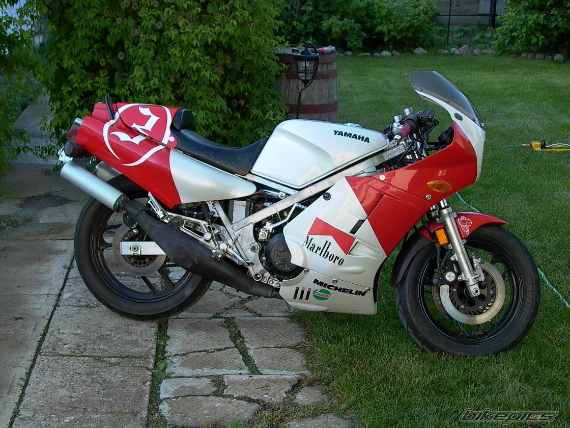 Photo 91989