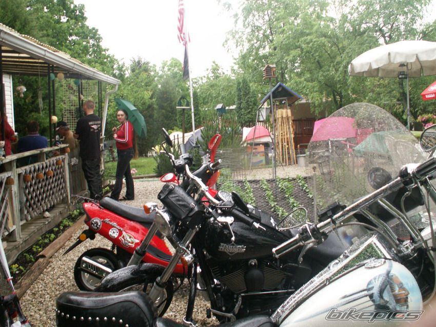 Photo 919996