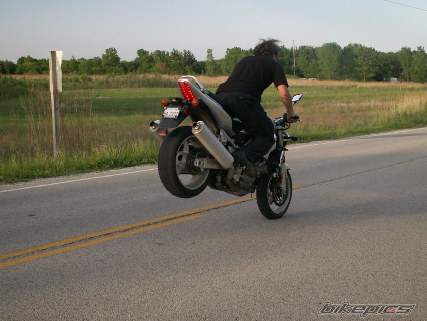 Photo 920025