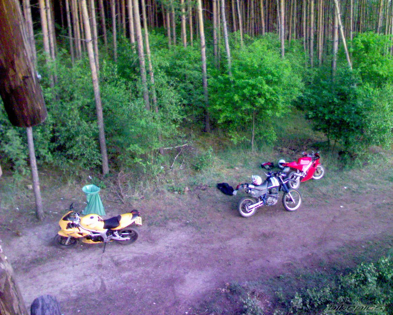 Photo 926983