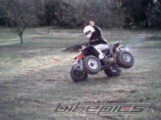 Photo 93365