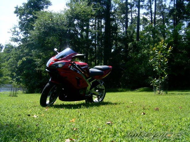 Photo 940133