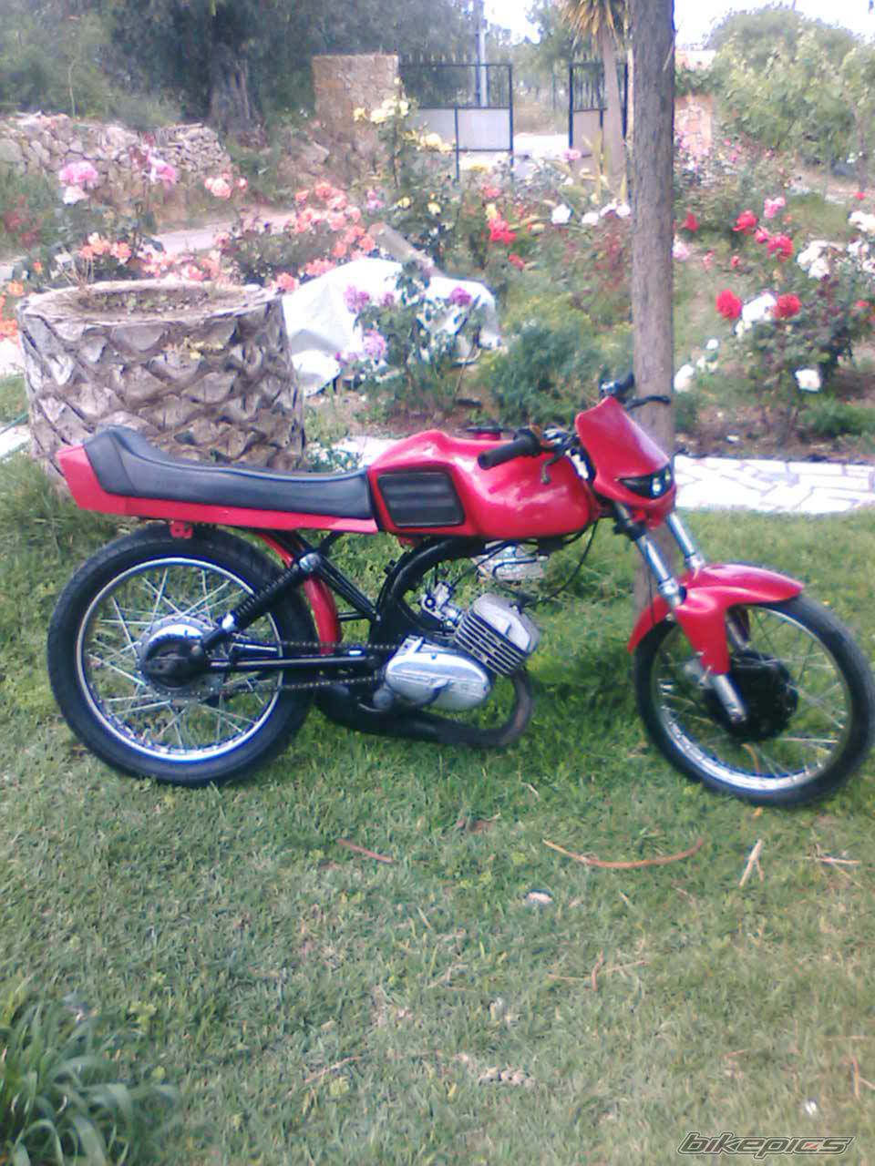 Photo 942822