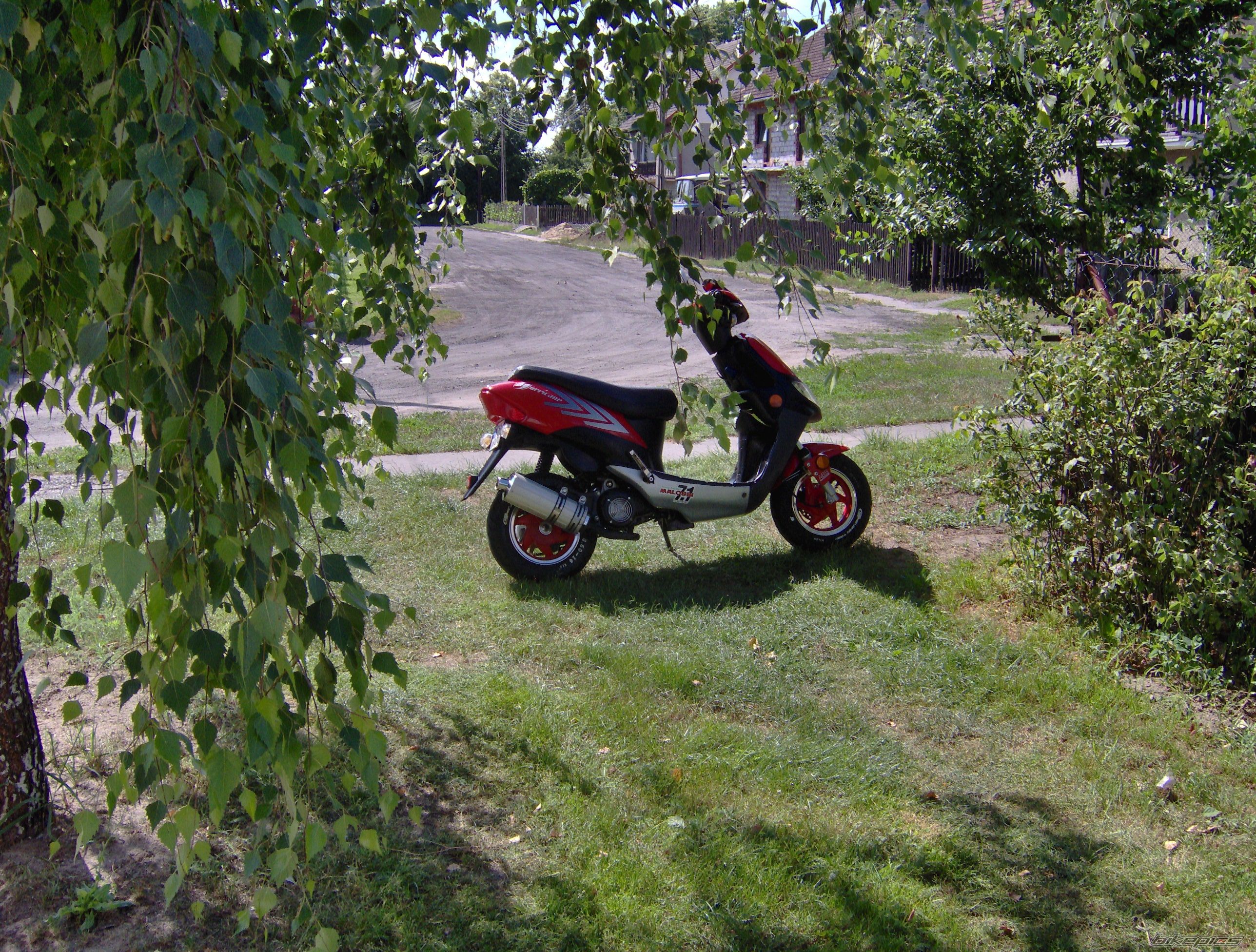 Photo 943556