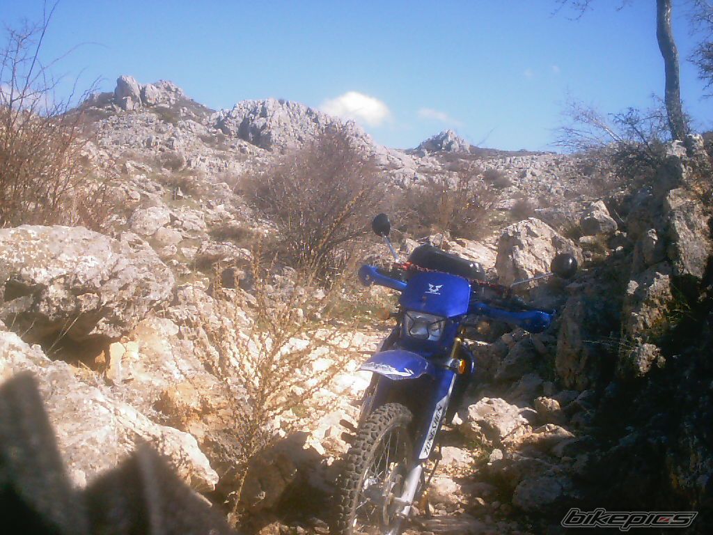 Photo 943775