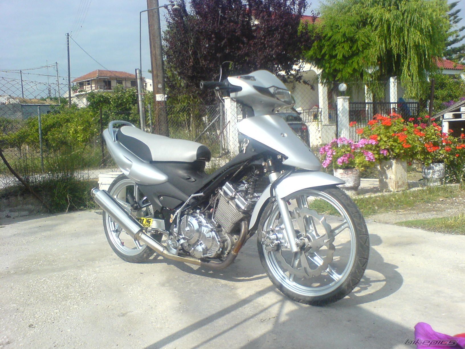 Photo 954875
