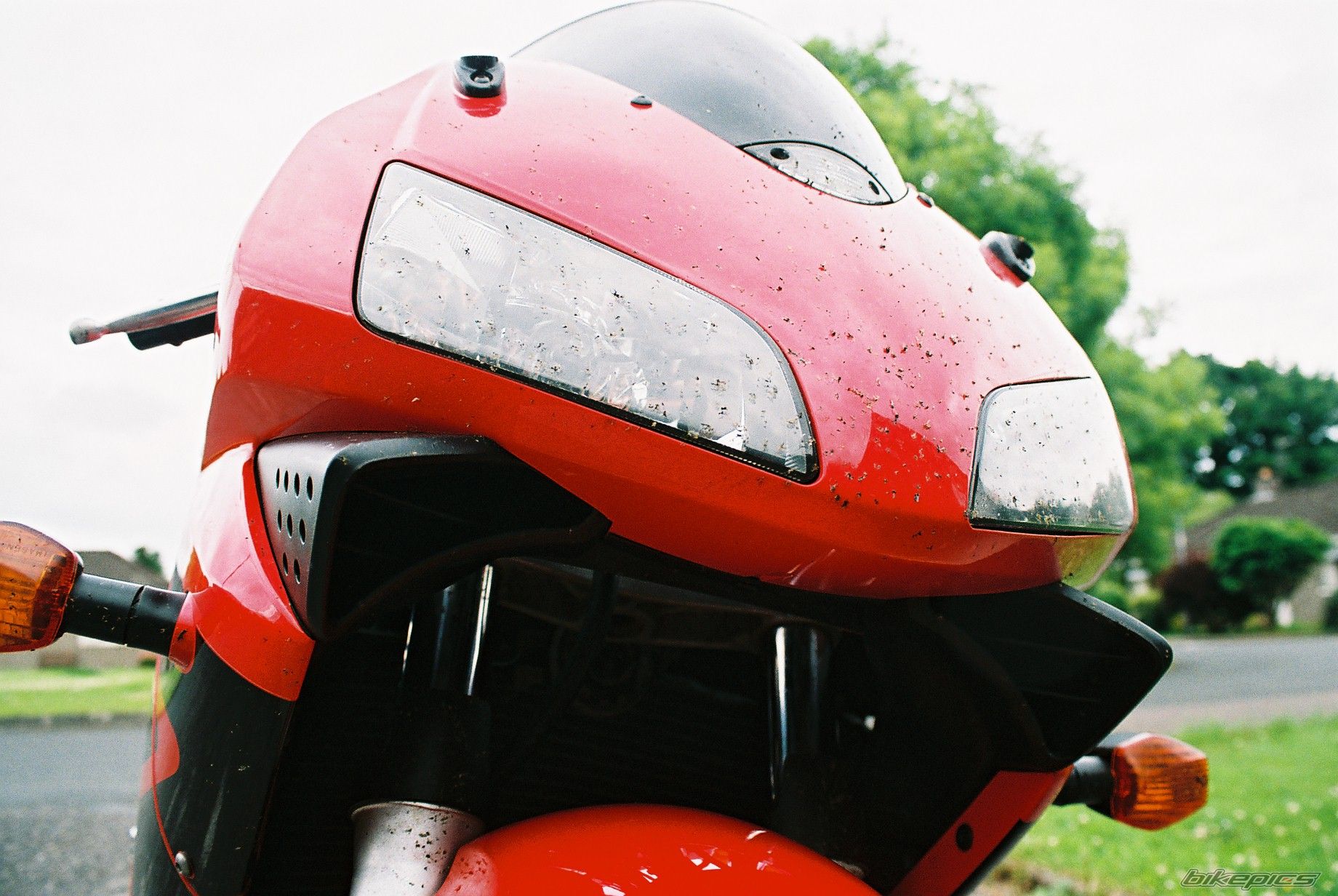 Photo 956259