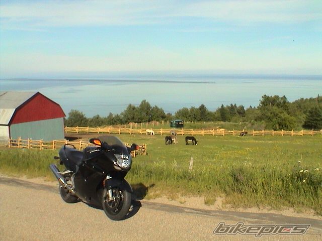 Photo 960003