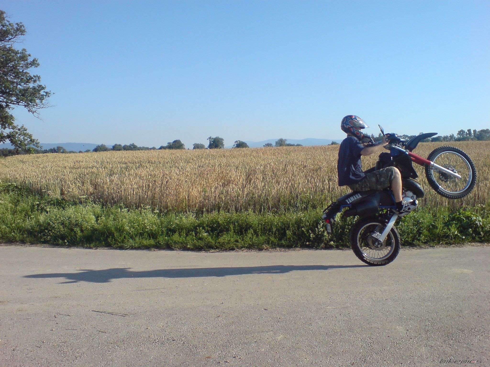 Photo 965719
