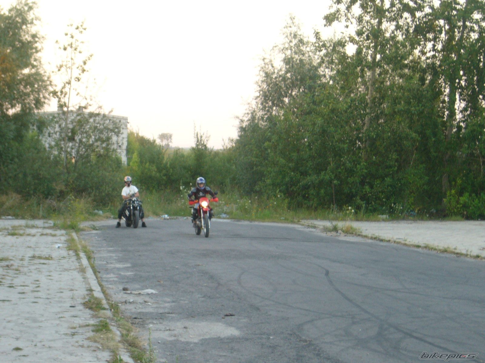 Photo 966079