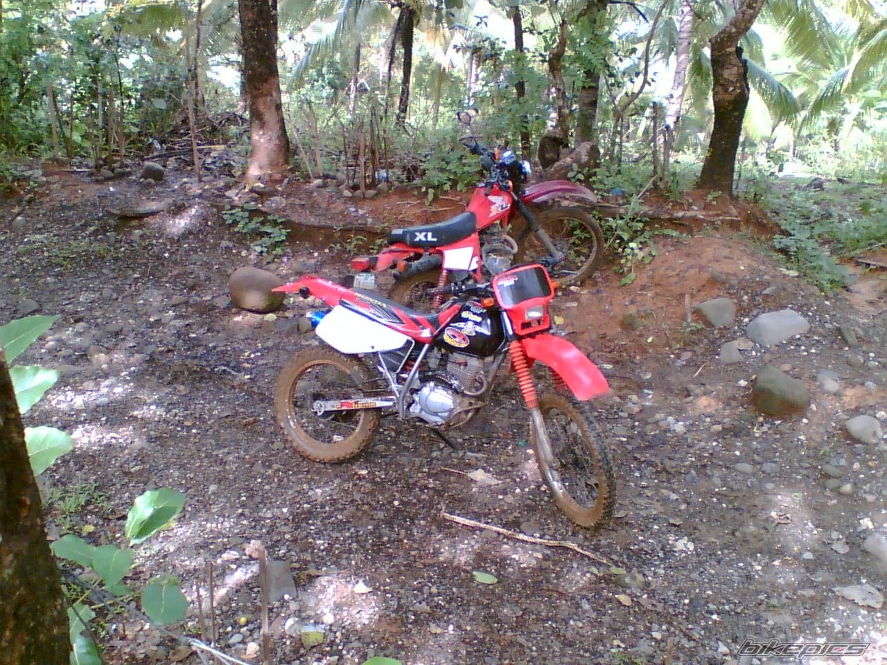 Photo 973917