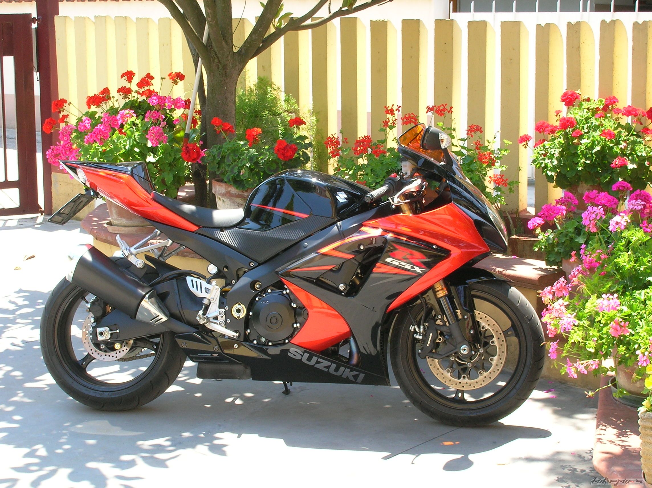 Bike Photo 976006