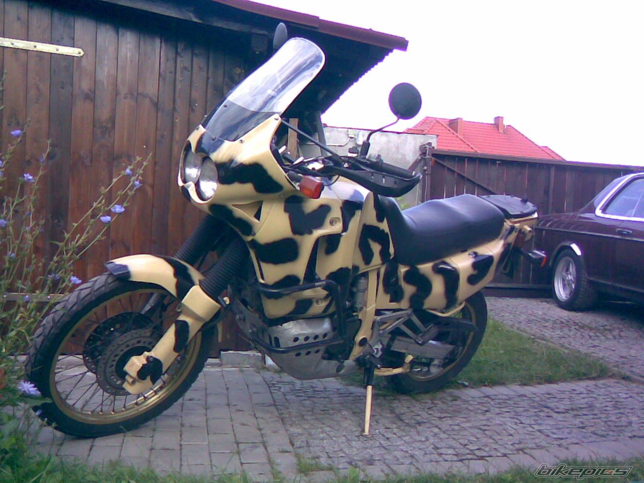 Photo 981504