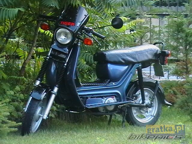 Photo 981916