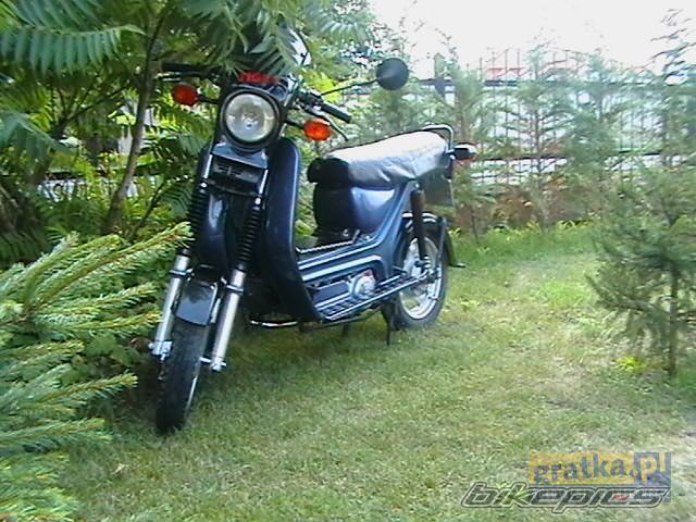 Photo 981926