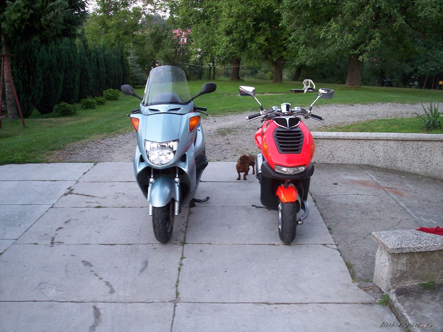 Photo 981938