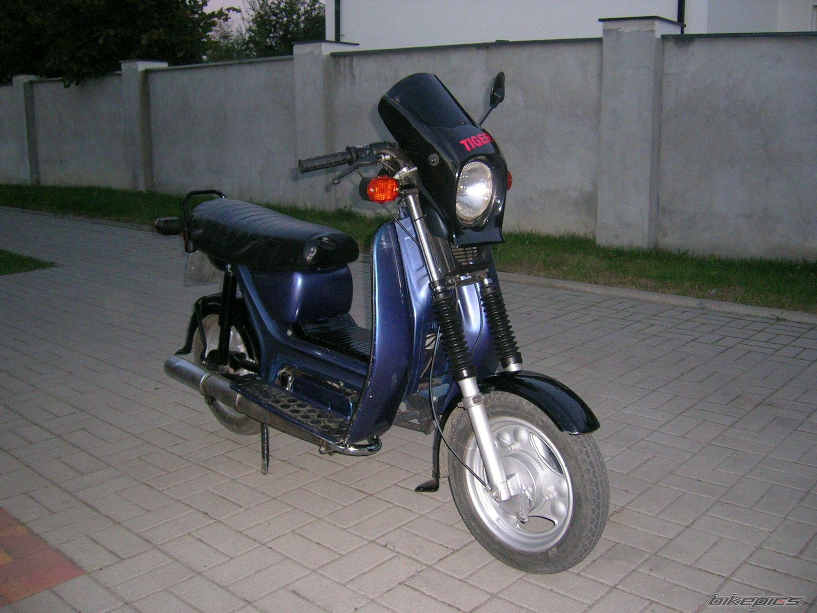 Photo 981980