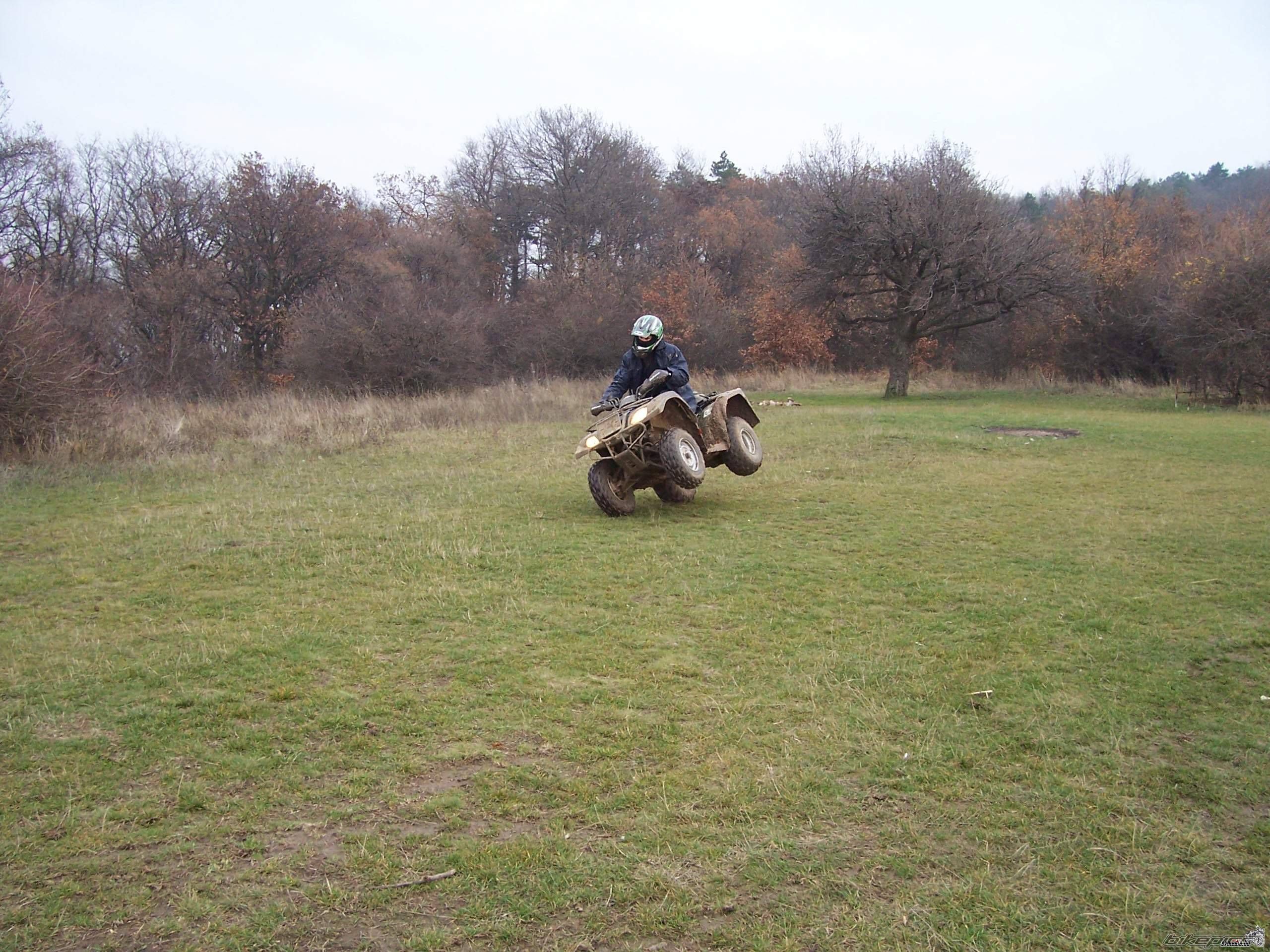 Photo 982477