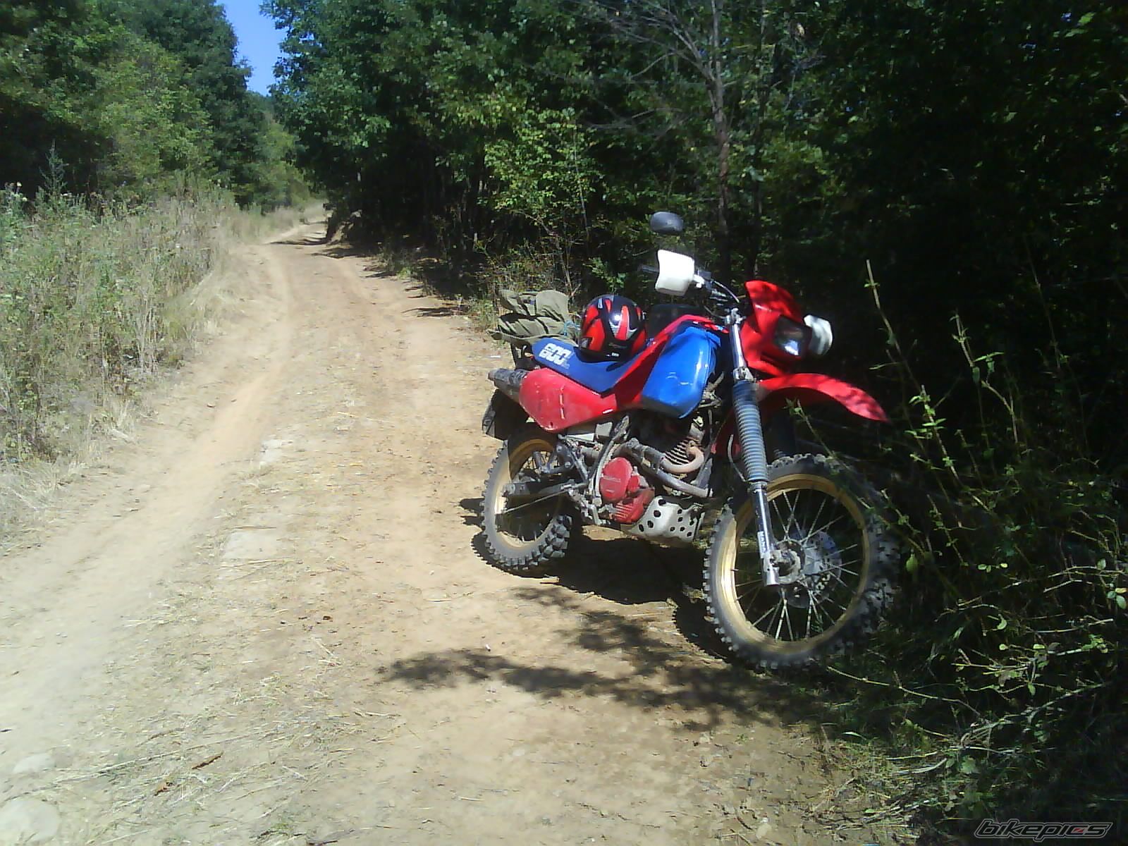 Bike Photo 984380