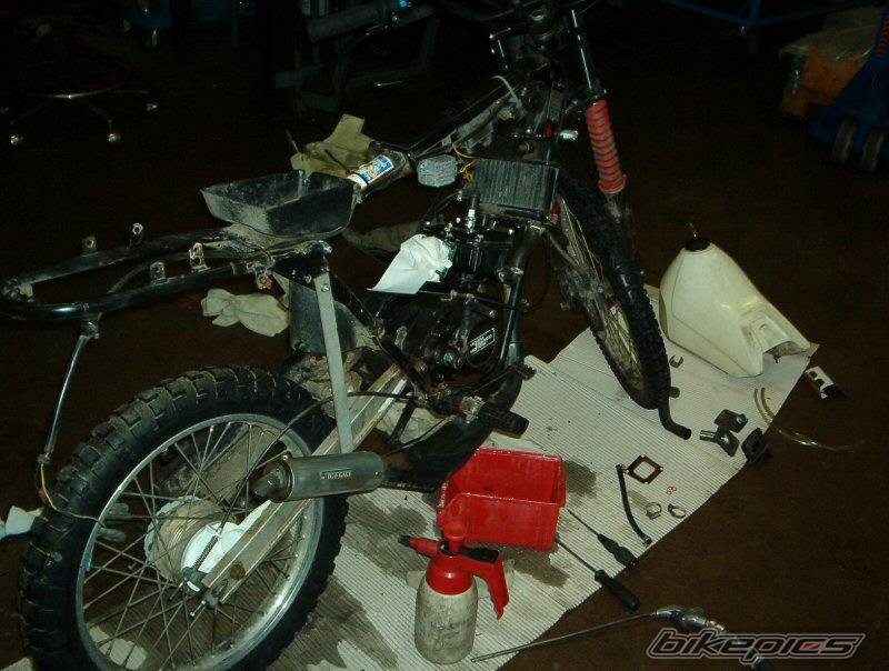 Bike Photo 98447